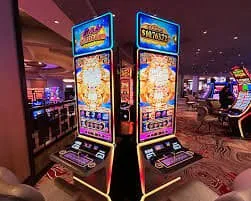 skylinebets Condiciones que rigen tu cuenta en skylinebets